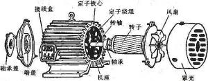 振動(dòng)電機(jī)損壞的常見原因有哪些？